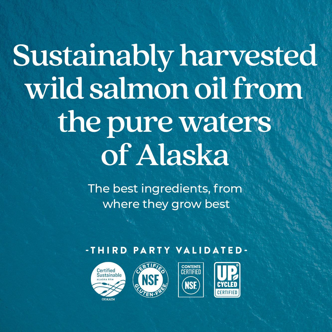 Sustainably harvested wild Salmon from Alaska waters